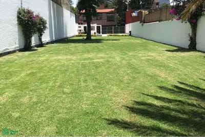 /international/mx/callejon-corregidora-19-campestre-alvaro-obregon-ciudad-de-mexico-alvaro-obregon-michoacan-310108661514/