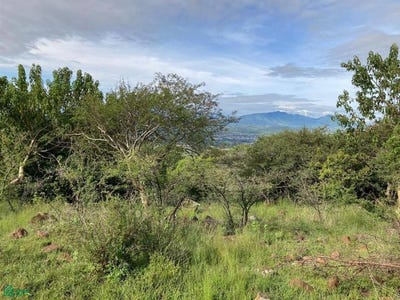 /international/mx/camino-de-la-palma-lote-66-manzana-50-s-n-miraflores-juanacatlan-jalisco-juanacatlan-jalisco-310107835813/