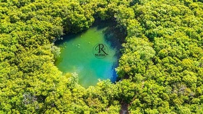 /international/mx/quintana-roo-quintana-roo-310105028722/