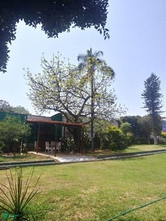 /international/mx/galeana-n3-esquina-con-calle-hidalgo-1420-san-miguel-acapantzingo-cuernavaca-morelos-cuernavaca-morelos-310108186703/