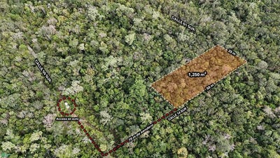 /international/mx/calle-61-sur-tulum-quintana-roo-310106715709/