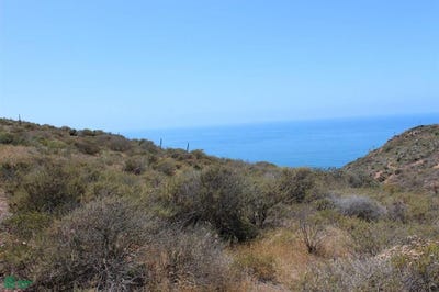 /international/mx/calle-leo-lote-26-esteban-cantu-ensenada-baja-california-22794-ensenada-baja-california-310108811122/?lang=it