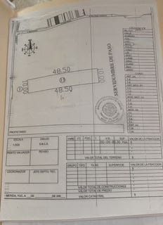 /international/mx/san-benito-san-benito-yucatan-310106165124/