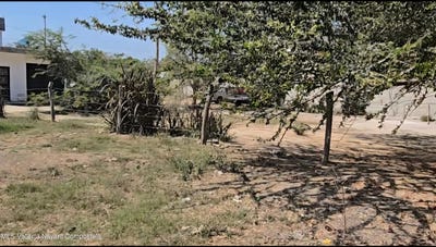 /international/mx/s-n-s-n-nayarit-310101134513/?lang=zh-cn