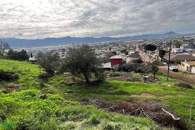 /international/mx/alfonso-garcia-gonzalez-950-el-maneadero-parte-baja-rodolfo-sanchez-taboada-maneadero-baja-california-22790-baja-california-310108432734/
