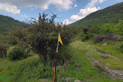 /international/mx/lagunita-0-san-miguel-de-allende-guanajuato-san-miguel-de-allende-guanajuato-310108312861/