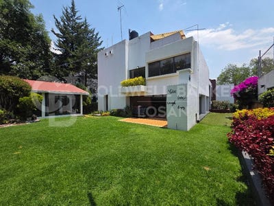 /international/mx/prado-sur-miguel-hidalgo-mexico-city-310108403754/