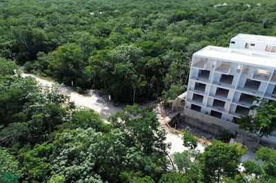 /international/mx/region-15-supermanzana-000-manzana-315-lote-003-003-region-15-tulum-quintana-roo-77760-tulum-quintana-roo-310104857105/