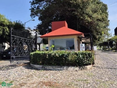 /international/mx/halcon-s-n-san-rafael-cuauhtemoc-colima-cuauhtemoc-colima-310105830242/
