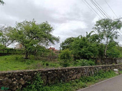 /international/mx/benito-juarez-esq-la-asuncion-camino-a-pala-s-n-tlayacapan-centro-tlayacapan-morelos-tlayacapan-morelos-310100828203/?lang=zh-tw