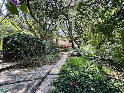 /international/mx/lluvia-412-bis-jardines-del-pedregal-alvaro-obregon-ciudad-de-mexico-ciudad-de-mexico-mexico-city-310105368219/