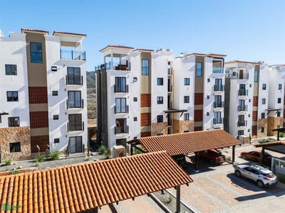 /international/mx/damasco-t14-el-sauzal-ensenada-baja-california-ensenada-baja-california-310108113254/