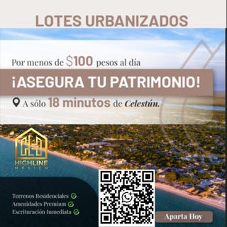 /international/mx/yucatan-celestun-celestun-yucatan-310107468749/