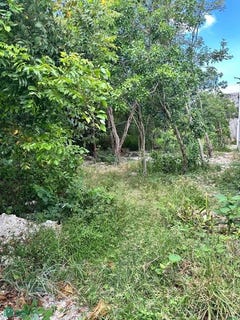 /international/mx/10-avenida-con-23-sur-007-andres-q-roo-cozumel-quintana-roo-cozumel-quintana-roo-310102128568/
