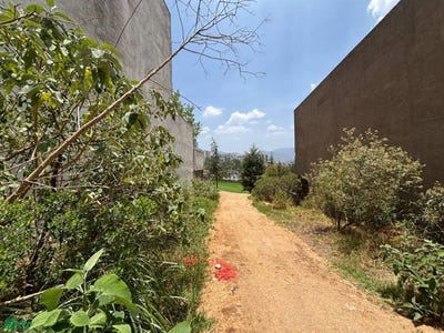 /international/mx/real-del-suspiro-lt-156-mz5-bosque-real-huixquilucan-mexico-huixquilucan-de-degollado-mexico-city-310100576399/?lang=zh-cn