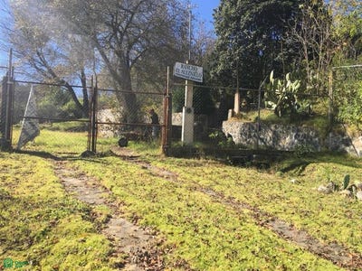 /international/mx/rancheria-de-la-sabana-de-temporal-0-sabana-de-taborda-2da-seccion-villa-de-allende-mexico-villa-de-allende-mexico-city-310107426694/