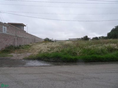 /international/mx/del-panteon-s-n-san-pablo-tecalco-tecamac-mexico-tecamac-de-felipe-villanueva-mexico-city-310101247686/?lang=en