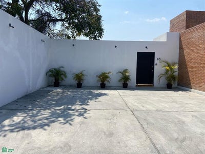 /international/mx/calle-caracas-69-fraccionamiento-burgos-cuernavaca-tres-de-mayo-morelos-62584-morelos-310108310184/