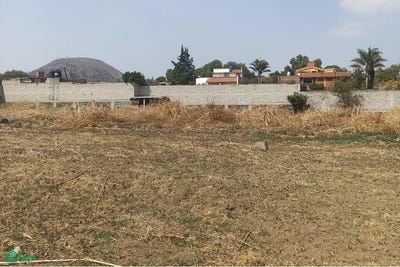 /international/mx/villa-milpa-alta-milpa-alta-ciudad-de-mexico-milpa-alta-mexico-city-310098016980/