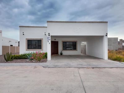 /international/mx/77-tequila-unit-77-san-carlos-sonora-310108594504/?lang=de