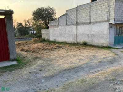 /international/mx/almendros-sn-san-miguel-contla-santa-cruz-tlaxcala-tlaxcala-santa-cruz-tlaxcala-tlaxcala-310100960153/