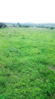 /international/mx/prolongacion-francisco-villa-sn-la-venta-sur-coroneo-guanajuato-guanajuato-310101181671/?lang=zh-cn