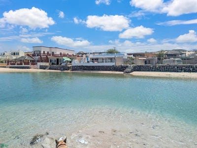 /international/mx/ave-calamar-m68-l46-cholla-bay-puerto-penasco-sonora-83550-puerto-penasco-sonora-310108647015/?lang=zh-tw