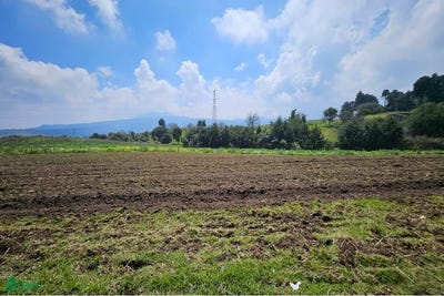 /international/mx/avenida-morelos-8080-el-oyamello-venustiano-carranza-ciudad-de-mexico-venustiano-carranza-michoacan-310108311089/