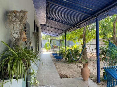 /international/mx/mrjr-qg-yalcon-yucatan-310108759384/