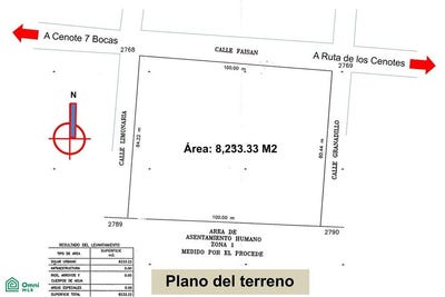 /international/mx/avenida-flamboyan-0-joaquin-zetina-gasca-puerto-morelos-quintana-roo-puerto-morelos-quintana-roo-310108310893/
