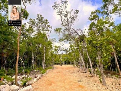 /international/mx/quintana-roo-quintana-roo-310100579723/?lang=zh-cn