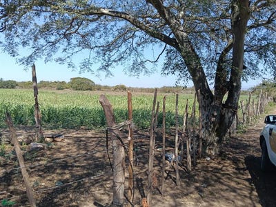 /international/mx/0-rosario-sinaloa-rosario-sinaloa-310108309601/