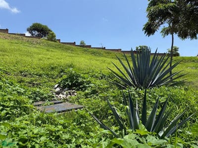 /international/mx/la-parcela-73-p11-hacienda-de-la-labor-chapala-jalisco-chapala-jalisco-310107472343/