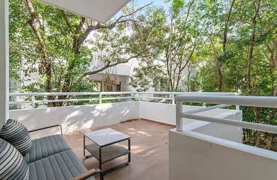 /international/mx/avenida-coba-sur-mz13-lt2-aldea-zama-quintana-roo-310108284949/