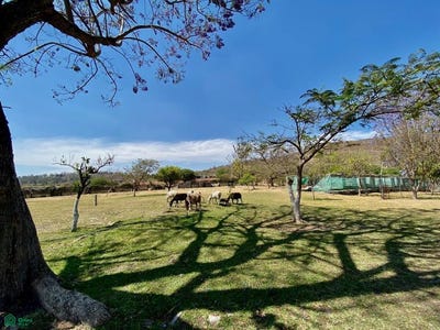 /international/mx/antiguo-camino-a-atequiza-1300-ixtlahuacan-de-los-membrillos-ixtlahuacan-de-los-membrillos-jalisco-ixtlahuacan-de-los-membrillos-jalisco-310107472395/