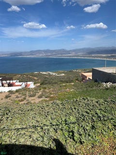 /international/mx/ave-anita-ensenada-baja-california-310107759091/
