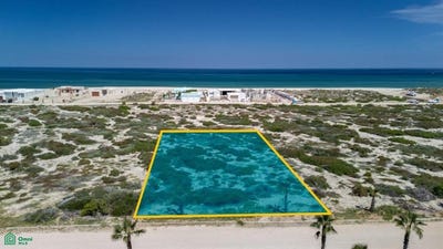 /international/mx/light-house-point-estates-c102-manuel-rivera-anaya-la-paz-baja-california-sur-la-paz-baja-california-sur-310102703191/