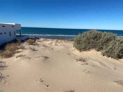 /international/mx/ave-estrella-del-mar-las-dunas-s1-l4-santo-tomas-santo-tomas-sonora-83550-santo-tomas-sonora-310108278034/