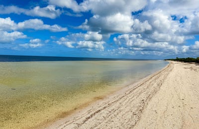 /international/mx/9w9w-g3-dzidzantun-municipality-yucatan-310107358501/