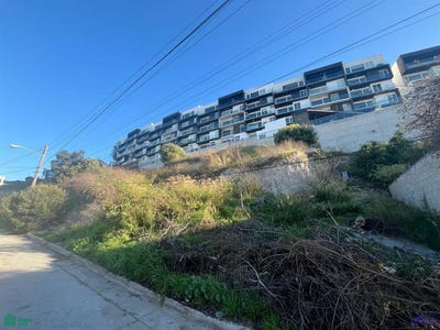 /international/mx/fundicion-14138-sonora-tijuana-baja-california-tijuana-baja-california-310108288378/