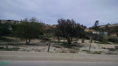 /international/mx/ave-garcia-tijuana-baja-california-310108868377/