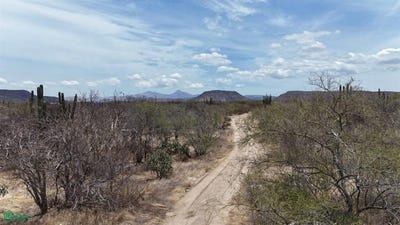 /international/mx/manzana-5-lote-92-5-campestre-el-cardon-la-paz-baja-california-sur-la-paz-baja-california-sur-310109014558/?lang=id