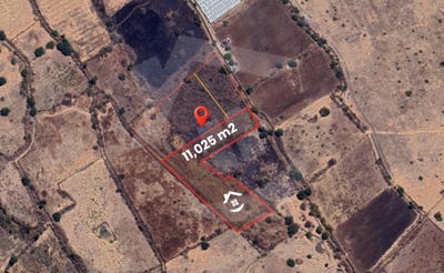 /international/mx/45-extramuros-san-pedro-tesistan-jalisco-310108668874/?lang=zh-tw