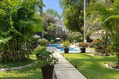 /international/mx/60-p-º-de-los-tabachines-cuernavaca-morelos-310108418648/