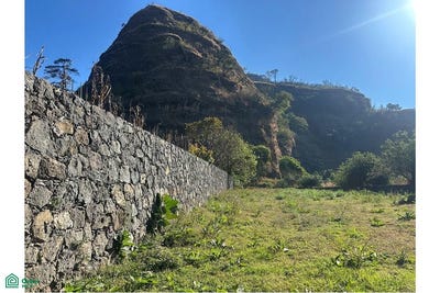/international/mx/prolongacion-mariano-de-matamoros-80-barrio-santo-domingo-tepoztlan-morelos-tepoztlan-morelos-310108431406/