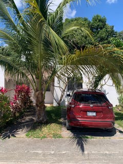 /international/mx/avenida-arrecifes-benito-juarez-mexico-city-310108372018/