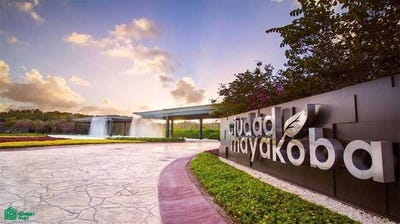 /international/mx/senderos-norte-de-mayakoba-29-playa-del-carmen-centro-solidaridad-quintana-roo-playa-del-carmen-quintana-roo-310108313822/