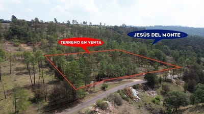 /international/mx/plan-de-ayala-morelia-michoacan-310107913048/