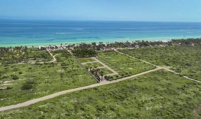 /international/mx/yucatan-progreso-pueblo-chicxulub-puerto-pueblo-chicxulub-puerto-yucatan-310108211133/
