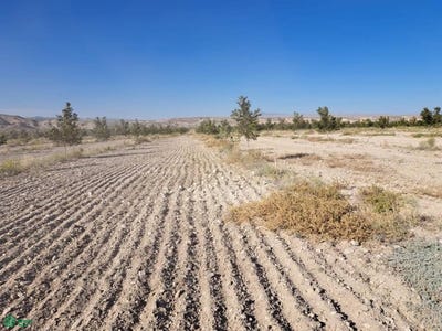 /international/mx/chihuahua-ojinaga-16-coyame-coyame-chihuahua-32850-chihuahua-310097006150/